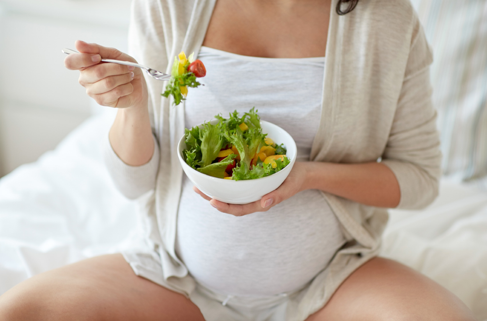 Dieta embarazada primer trimestre